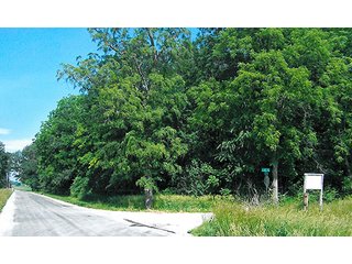 Tract 2 - 241 Acres Offered in 4 Tracts, Land Auction