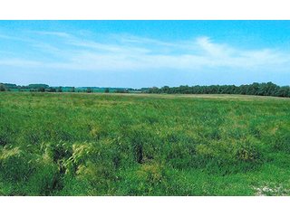 Tract 5 - 241 Acres Offered in 4 Tracts, Land Auction