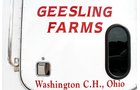 Property photo 8 - GEESLING FARM EQUIPMENT ESTATE AUCTION