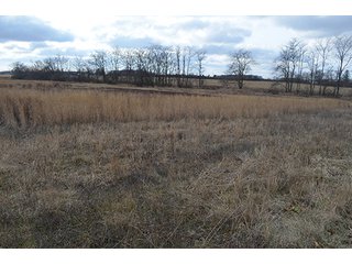 20 Wooded Acres - 20+/- Acres Wooded & 24+/- Acres Grassland, LAND AUCTION