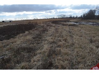 20 Wooded Acres - 20+/- Acres Wooded & 24+/- Acres Grassland, LAND AUCTION