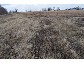 20 Wooded Acres - 20+/- Acres Wooded & 24+/- Acres Grassland, LAND AUCTION