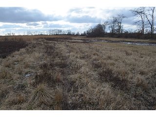 20 Wooded Acres - 20+/- Acres Wooded & 24+/- Acres Grassland, LAND AUCTION