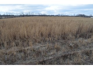 20 Wooded Acres - 20+/- Acres Wooded & 24+/- Acres Grassland, LAND AUCTION