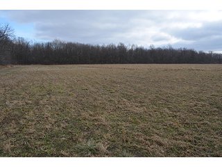 20 Wooded Acres - 20+/- Acres Wooded & 24+/- Acres Grassland, LAND AUCTION