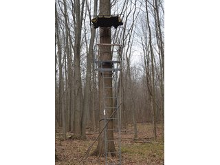 20 Wooded Acres - 20+/- Acres Wooded & 24+/- Acres Grassland, LAND AUCTION