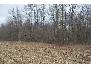 20 Wooded Acres - 20+/- Acres Wooded & 24+/- Acres Grassland, LAND AUCTION