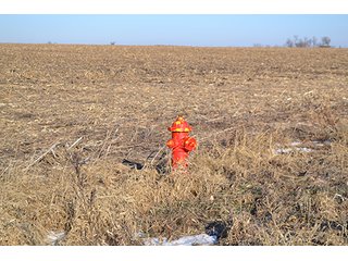 Property photo 21 - 637+/- Acres offered in 5 Tracts, MAJOR LAND AUCTION