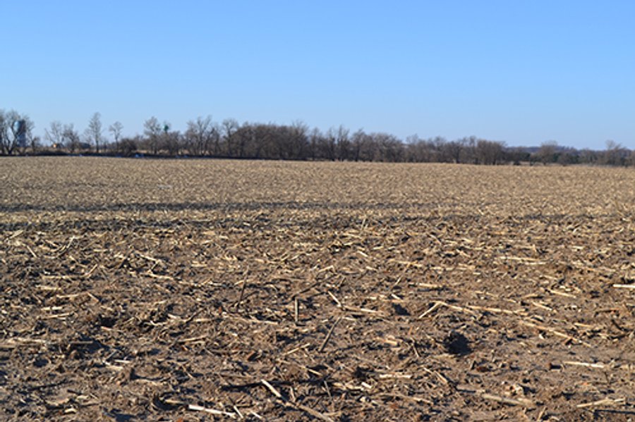 637+/- Acres offered in 5 Tracts, MAJOR LAND AUCTION