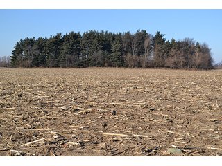 Property photo 7 - 637+/- Acres offered in 5 Tracts, MAJOR LAND AUCTION