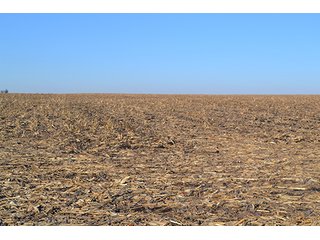 Property photo 16 - 637+/- Acres offered in 5 Tracts, MAJOR LAND AUCTION