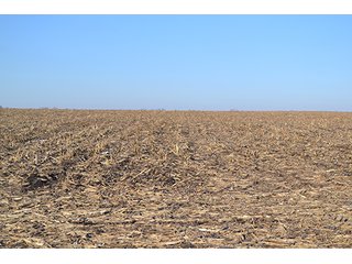 Property photo 17 - 637+/- Acres offered in 5 Tracts, MAJOR LAND AUCTION