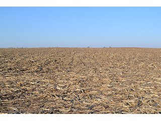 Property photo 5 - 637+/- Acres offered in 5 Tracts, MAJOR LAND AUCTION