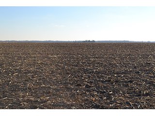 Property photo 9 - 637+/- Acres offered in 5 Tracts, MAJOR LAND AUCTION