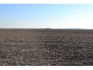 Property photo 8 - 637+/- Acres offered in 5 Tracts, MAJOR LAND AUCTION