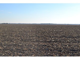 Property photo 13 - 637+/- Acres offered in 5 Tracts, MAJOR LAND AUCTION