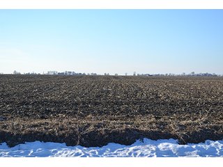 Property photo 12 - 637+/- Acres offered in 5 Tracts, MAJOR LAND AUCTION