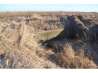 Property photo 23 - 637+/- Acres offered in 5 Tracts, MAJOR LAND AUCTION