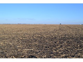 Property photo 14 - 637+/- Acres offered in 5 Tracts, MAJOR LAND AUCTION