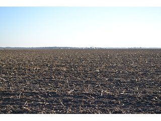 Property photo 6 - 637+/- Acres offered in 5 Tracts, MAJOR LAND AUCTION