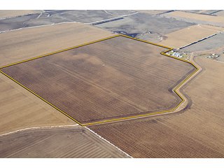 Tract 1 - 637+/- Acres offered in 5 Tracts, MAJOR LAND AUCTION
