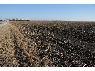 Property photo 11 - 637+/- Acres offered in 5 Tracts, MAJOR LAND AUCTION