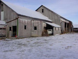 Property photo 15 - 39.6+/- Acres offered in 1 Tract, REAL ESTATE AUCTION