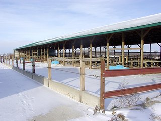 Property photo 23 - 39.6+/- Acres offered in 1 Tract, REAL ESTATE AUCTION
