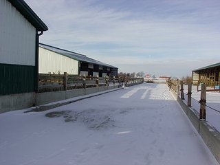 Property photo 7 - 39.6+/- Acres offered in 1 Tract, REAL ESTATE AUCTION