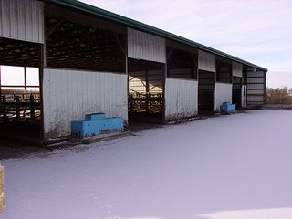 Property photo 19 - 39.6+/- Acres offered in 1 Tract, REAL ESTATE AUCTION