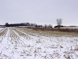 Property photo 11 - 39.6+/- Acres offered in 1 Tract, REAL ESTATE AUCTION