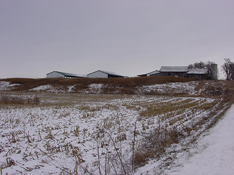 39.6+/- Acres offered in 1 Tract, REAL ESTATE AUCTION