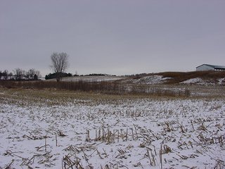 Property photo 10 - 39.6+/- Acres offered in 1 Tract, REAL ESTATE AUCTION