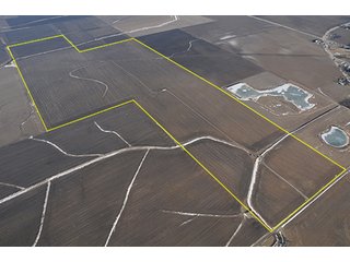 Tracts 4-7 - MAJOR LAND AUCTION, 533+/- Acres offered in 7 Tracts