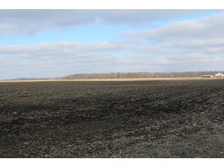 Property photo 58 - MAJOR LAND AUCTION, 533+/- Acres offered in 7 Tracts