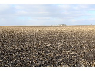 Property photo 10 - MAJOR LAND AUCTION, 533+/- Acres offered in 7 Tracts