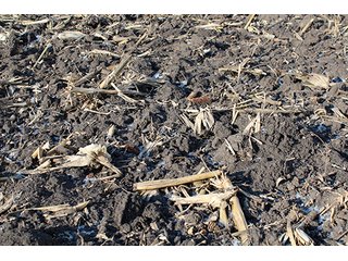 Property photo 50 - MAJOR LAND AUCTION, 533+/- Acres offered in 7 Tracts