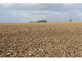 Property photo 61 - MAJOR LAND AUCTION, 533+/- Acres offered in 7 Tracts