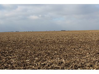 Property photo 29 - MAJOR LAND AUCTION, 533+/- Acres offered in 7 Tracts