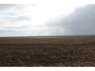 Property photo 37 - MAJOR LAND AUCTION, 533+/- Acres offered in 7 Tracts