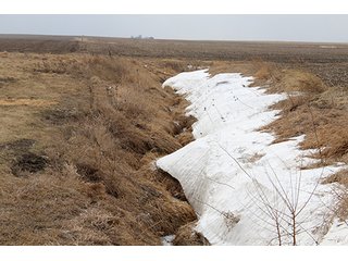 Property photo 69 - MAJOR LAND AUCTION, 533+/- Acres offered in 7 Tracts