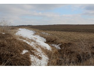 Property photo 51 - MAJOR LAND AUCTION, 533+/- Acres offered in 7 Tracts