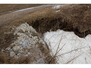 Property photo 52 - MAJOR LAND AUCTION, 533+/- Acres offered in 7 Tracts