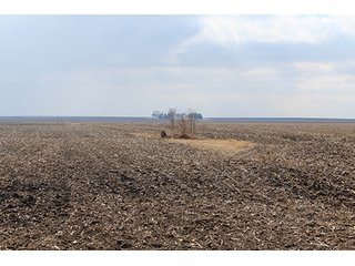 Property photo 33 - MAJOR LAND AUCTION, 533+/- Acres offered in 7 Tracts