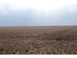Property photo 53 - MAJOR LAND AUCTION, 533+/- Acres offered in 7 Tracts