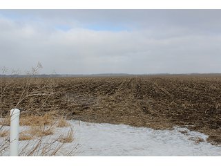 Property photo 54 - MAJOR LAND AUCTION, 533+/- Acres offered in 7 Tracts