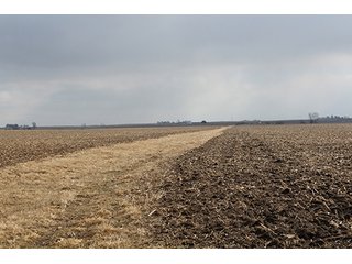 Property photo 68 - MAJOR LAND AUCTION, 533+/- Acres offered in 7 Tracts
