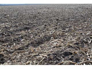 Property photo 47 - MAJOR LAND AUCTION, 533+/- Acres offered in 7 Tracts
