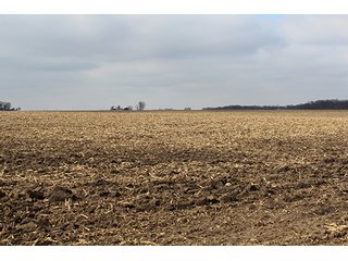 Property photo 19 - MAJOR LAND AUCTION, 533+/- Acres offered in 7 Tracts