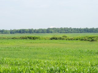 Property photo 10 - MAJOR LAND AUCTION - 541+/- Acres offered in 5 Tracts